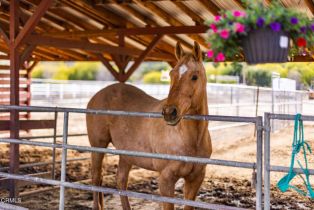 Single Family Residence, 11144 Ojai Santa Paula rd, Ojai, CA 93023 - 39