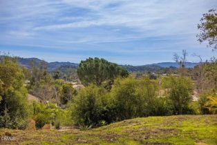 , 1090 Cuyama rd, Ojai, CA 93023 - 6