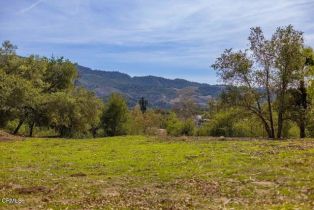 , 1090 Cuyama rd, Ojai, CA 93023 - 7