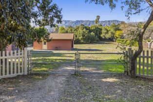 Single Family Residence, 1579 Orchard dr, Ojai, CA 93023 - 5