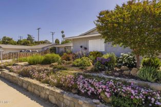 Single Family Residence, 40 Almond ave, Oak View, CA 93022 - 30