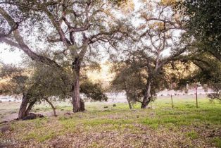 , 0 Burnham rd, Ojai, CA 93023 - 6