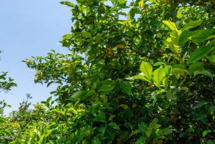 , 6790 Worth way, Camarillo, CA 93012 - 9