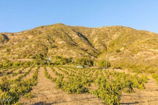 Single Family Residence, 4488 Foothill rd, Carpinteria, CA 93013 - 28