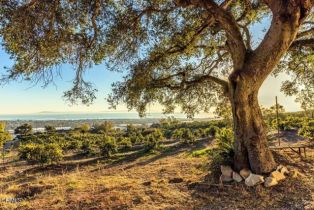 Single Family Residence, 4488 Foothill rd, Carpinteria, CA 93013 - 39