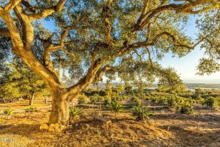 Single Family Residence, 4488 Foothill rd, Carpinteria, CA 93013 - 41