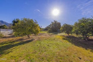 Single Family Residence, 456 Rice rd, Ojai, CA 93023 - 43