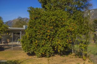 Single Family Residence, 456 Rice rd, Ojai, CA 93023 - 44