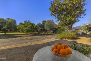 Single Family Residence, 456 Rice rd, Ojai, CA 93023 - 6