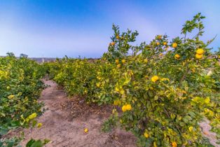 , 15299 Middle Ranch Road, Moorpark, CA 93021 - 29