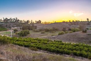 , 15299 Middle Ranch Road, Moorpark, CA 93021 - 31