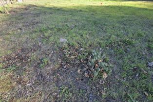 , 29152 Crags dr, Agoura Hills, CA 91301 - 4