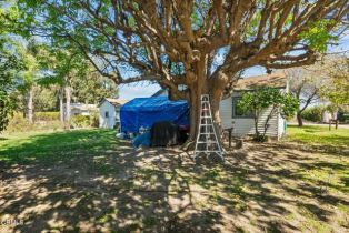 , 3171 Los Angeles ave, Somis, CA 93066 - 31