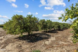 , 3171 Los Angeles ave, Somis, CA 93066 - 35