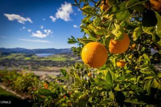 Single Family Residence, 10945 Alto ct, Oak View, CA 93022 - 38