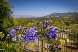 Single Family Residence, 10945 Alto ct, Oak View, CA 93022 - 39