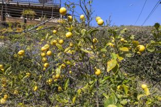 Single Family Residence, 505 Briarwood ter, Ventura, CA 93001 - 43