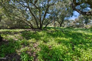 Single Family Residence, 971 Canyon Ridge rd, Solvang, CA 93463 - 11