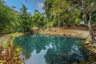 Single Family Residence, 12617 Koenigstein rd, Santa Paula, CA 93060 - 11