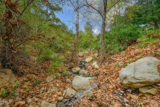 Single Family Residence, 12617 Koenigstein rd, Santa Paula, CA 93060 - 34