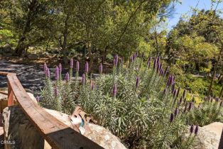 Single Family Residence, 12617 Koenigstein rd, Santa Paula, CA 93060 - 38