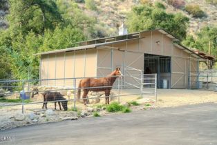 Single Family Residence, 12617 Koenigstein rd, Santa Paula, CA 93060 - 6