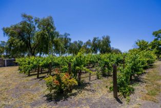 Single Family Residence, 2851 Tapadero rd, Solvang, CA 93463 - 25