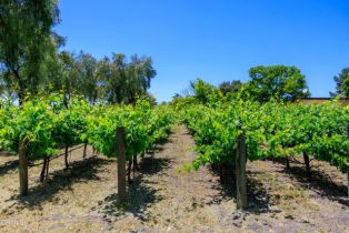 Single Family Residence, 2851 Tapadero rd, Solvang, CA 93463 - 5