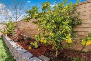 Single Family Residence, 7136 Crimora ave, Moorpark, CA 93021 - 23