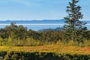 Single Family Residence, 1285 Mountain dr, Montecito, CA 93108 - 8