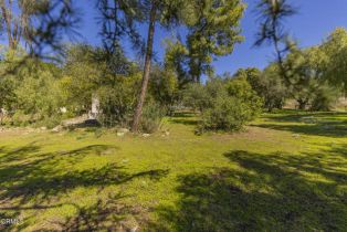 , 1320 McAndrew rd, Ojai, CA 93023 - 15
