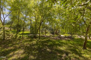 , 1320 McAndrew rd, Ojai, CA 93023 - 17