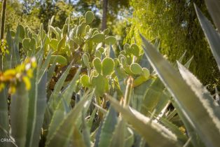 , 1320 McAndrew rd, Ojai, CA 93023 - 18