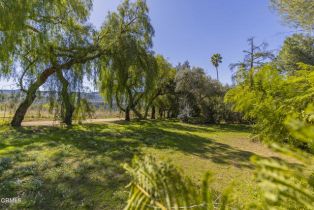 , 1320 McAndrew rd, Ojai, CA 93023 - 3