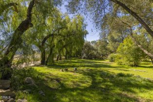 , 1320 McAndrew rd, Ojai, CA 93023 - 6