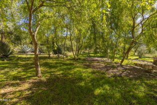 , 1320 McAndrew rd, Ojai, CA 93023 - 7