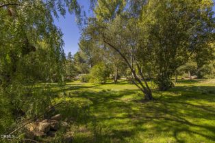 , 1320 McAndrew rd, Ojai, CA 93023 - 8