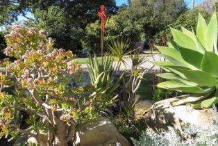 Single Family Residence, 670 Romero Canyon rd, Montecito, CA 93108 - 10