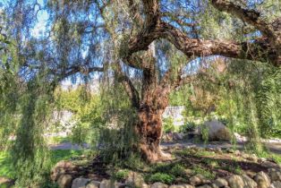 Single Family Residence, 670 Romero Canyon rd, Montecito, CA 93108 - 16