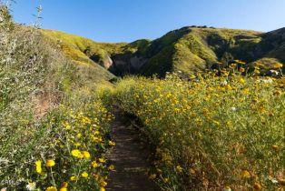 Single Family Residence, 5240 Foothill rd, Ventura, CA 93003 - 51