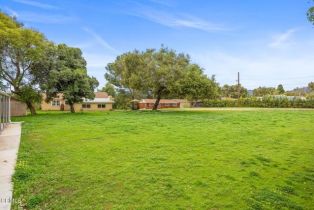 Residential Income, 1169 Tico rd, Ojai, CA 93023 - 48