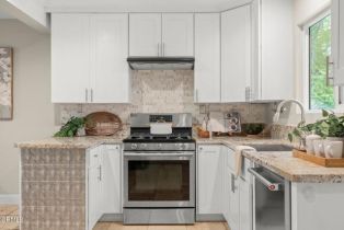 Residential Income, 1169 Tico rd, Ojai, CA 93023 - 9