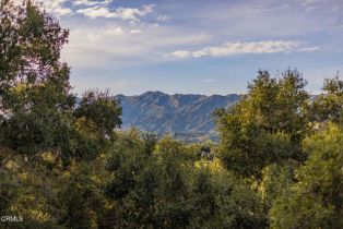 Single Family Residence, 11966 Ventura ave, Ojai, CA 93023 - 30