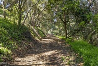 Single Family Residence, 4620 Casitas Pass rd, Ventura, CA 93001 - 6