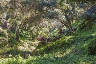 Single Family Residence, 4620 Casitas Pass rd, Ventura, CA 93001 - 7