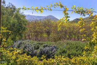 Single Family Residence, 4620 Casitas Pass RD, Ventura, CA  Ventura, CA 93001