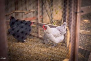 Single Family Residence, 12190 Grape Hill rd, Ojai, CA 93023 - 36