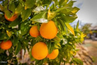 Single Family Residence, 12190 Grape Hill rd, Ojai, CA 93023 - 37