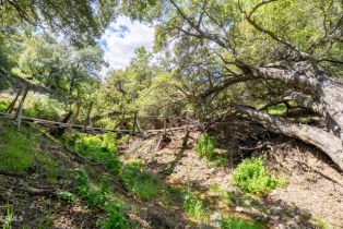 , 13100 Browns Canyon rd, Chatsworth, CA 91311 - 3