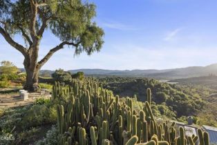 Single Family Residence, 1417 Foothill rd, Ojai, CA 93023 - 65